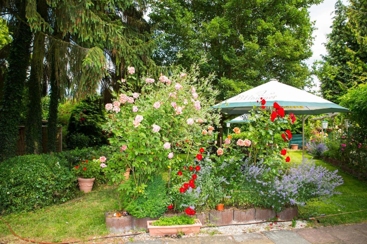 Hotel Zur Post Muelheim an der Mosel Εξωτερικό φωτογραφία