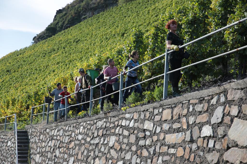 Hotel Zur Post Muelheim an der Mosel Εξωτερικό φωτογραφία